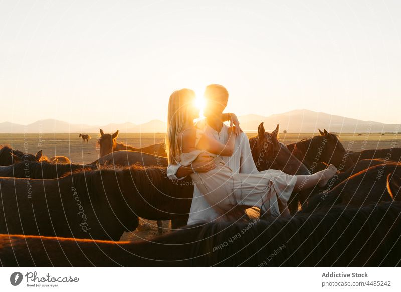 Mann hält Freundin mit Pferden auf dem Lande Paar Landschaft Feld Partnerschaft Zuneigung Zusammensein Liebe Sonnenuntergang Hügel Tier idyllisch Romantik