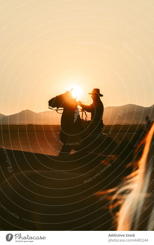 Reiterin mit Hut auf Pferd gegen Sonnenuntergang Mann Silhouette reiter Landschaft Natur Feld Weide Viehbestand Abenddämmerung Dämmerung idyllisch Aktivität