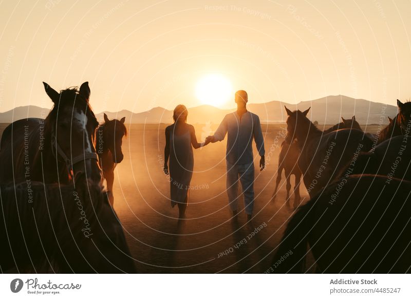 Paar spaziert zusammen auf einem Feld in der Nähe von Pferden bei Sonnenuntergang Händchenhalten schlendern Landschaft Bonden Zuneigung Zusammensein