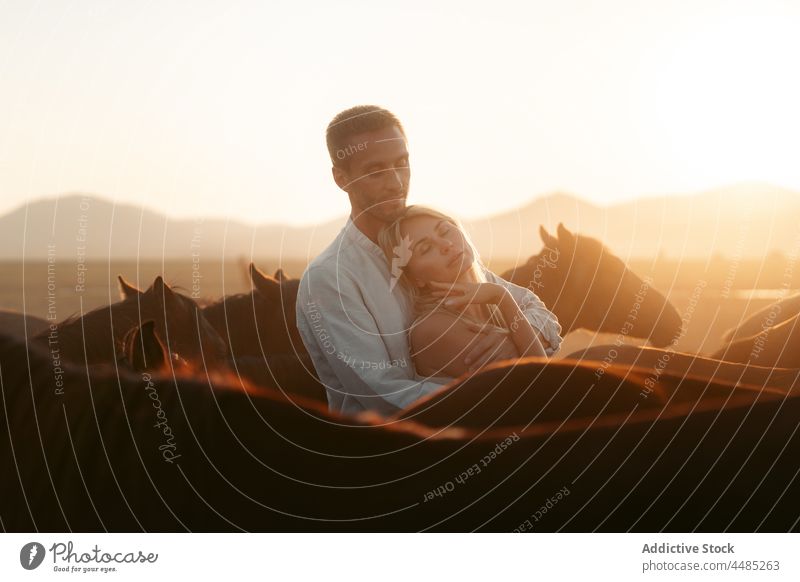 Mann umarmt Frau in der Nähe von Pferden auf der Weide Paar Landschaft Feld Umarmen Umarmung Partnerschaft Zuneigung Tier Zusammensein Augen geschlossen Liebe