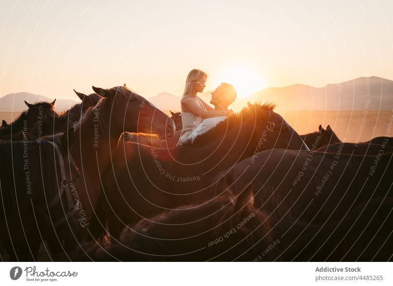 Mann hebt Frau zwischen Pferden im Sonnenuntergang auf Silhouette Paar Landschaft Feld Partnerschaft Zuneigung Zusammensein Liebe Hügel Freund idyllisch