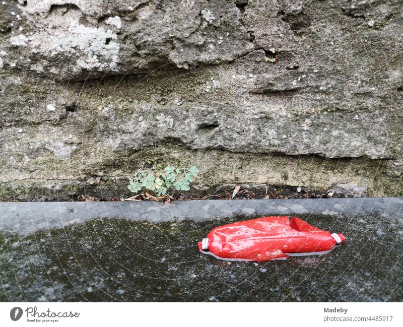 Leere rote Wurstpelle bei Regen auf dem Bürgersteig vor grauem porösen Gestein mit Unkraut in der Altstadt von Oerlinghausen bei Bielefeld am Hermannsweg im Teutoburger Wald in Ostwestfalen-Lippe