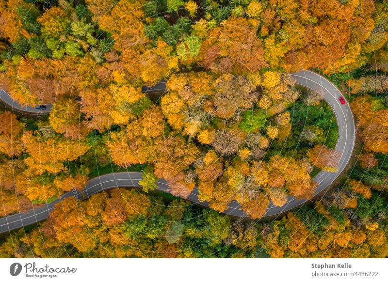 Ein Ausflug in der Herbstzeit, eine Autofahrt durch das wunderbare Laub. Von oben mit einer Drohne aufgenommen. Straße eng rot PKW Dröhnen Laubwerk