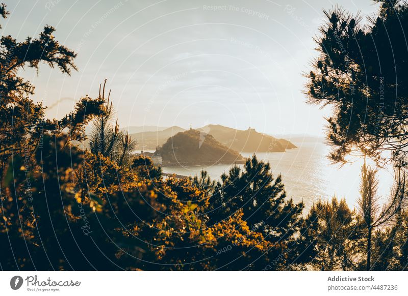 Malerische Landschaft mit Felsformationen und ruhigem Wasser der Bucht Natur felsig Windstille Pflanze Umwelt Ufer Meer San Sebastián donostia Spanien