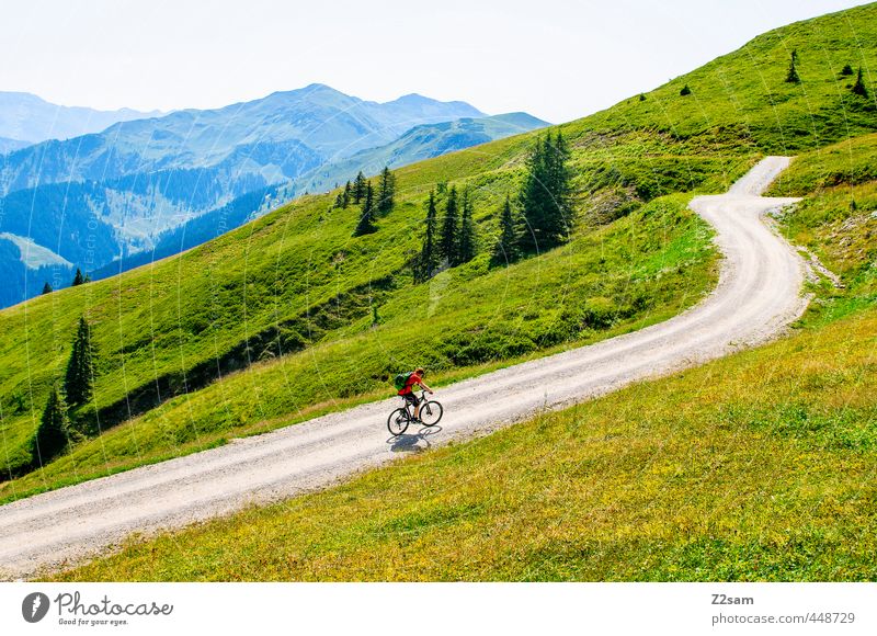 quälerei Lifestyle Ferien & Urlaub & Reisen Abenteuer Fahrradtour Sommerurlaub Berge u. Gebirge Fahrradfahren maskulin Junger Mann Jugendliche 18-30 Jahre