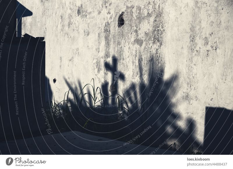 Spooky Mondlicht Schatten auf einem Friedhof als Konzept Hintergrund für Halloween spukhaft dunkel Entsetzen durchkreuzen Grab Grunge Grabmal beängstigend