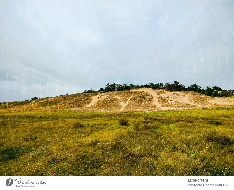 Binnendüne Düne Hügel Landschaft Himmel Umwelt Gras Heide Wege & Pfade Erhebung Natur Pflanze Sand grün Ruhe Erholung