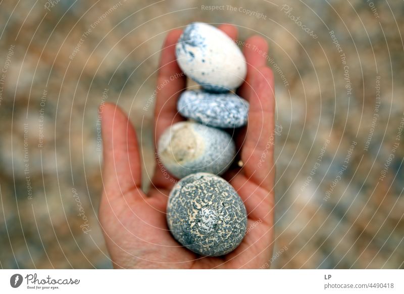Hand hält schöne Felsen abstrakt Nahaufnahme ruhig Anhäufung Form Kieselsteine ökologisch gefunden sortiert Hintergrund Feiertag ozeanisch gepflückt