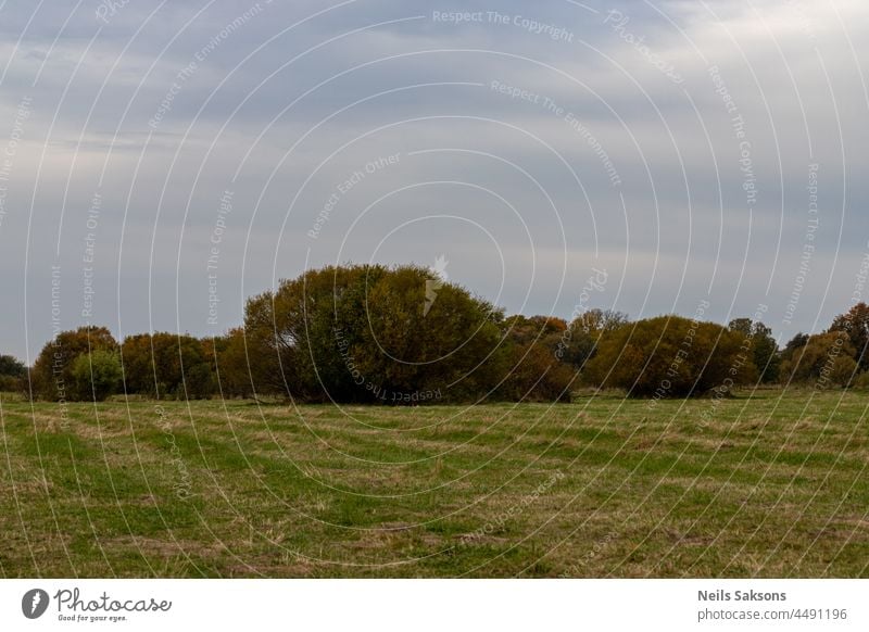 grüne Wiese in Lettland, Weidengebüsch in der Ferne, grau-blau bewölkter Himmel Ackerbau Hintergrund schön groß Cloud Wolken bewölkter Tag