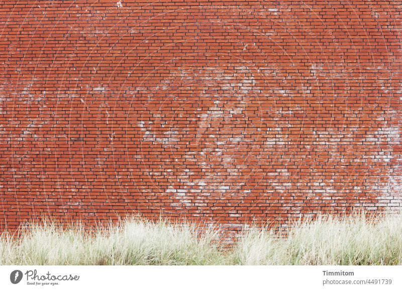 Backsteinfassade mit Grasdekor Fassade Dünengras Dänemark Wand Mauer Backsteinwand Außenaufnahme rot grün Gebäude Bauwerk Menschenleer groß