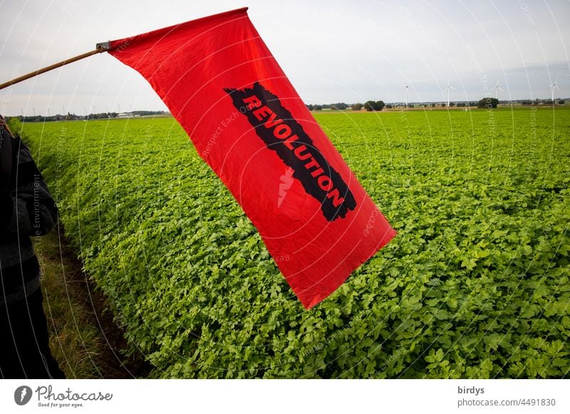 Revolution. Rote Fahne mit der Aufschrift " Revolution " vor einem grünen Feld. rote Fahne Aufstand Revoluzzer Veränderung Kampf Politik & Staat