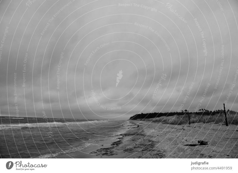 Weststrand Ostsee Darß Fischland-Darß-Zingst Küste Strand Wetter Wolken Wind Himmel Natur Landschaft Meer Stranddüne Klima Herbst bedrohlich düster grau