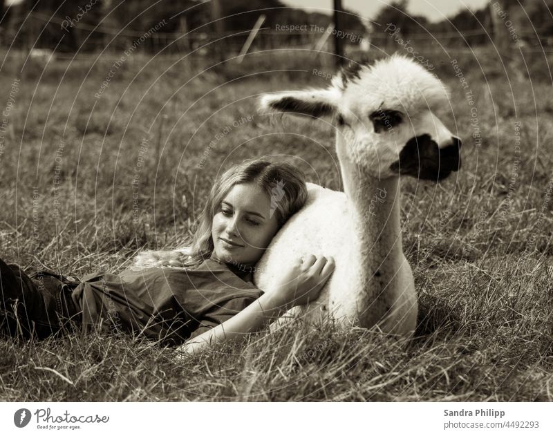 Mädchen liegt angelehnt an einem Alpaka auf einer Wiese Alpakashooting vertäumt Gelassenheit Ruhe Geduld Entspannung Vertrautheit Natur Außenaufnahme Landschaft
