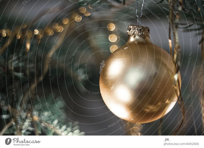 Goldene Christbaumkugel Weihnachten & Advent Dekoration & Verzierung gold Weihnachtsdekoration Weihnachtsbaum Kugel Baumschmuck Feste & Feiern Farbfoto Tanne