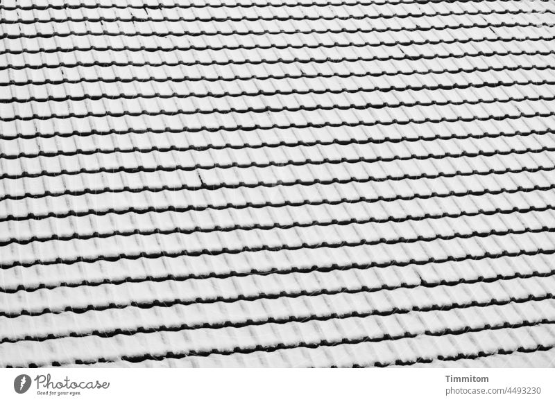 Ziegeldach mit Schnee Dach alt Formen und Strukturen kalt Winter Linien weiß schwarz Schwarzweißfoto Außenaufnahme Menschenleer