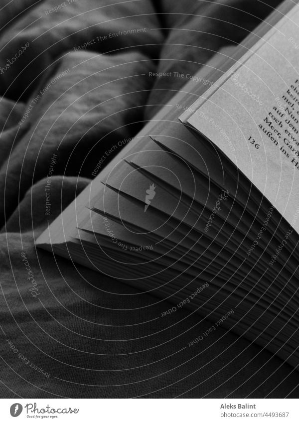 Seiten eines aufgeschlagenen Buches in schwarzweiß lesen Literatur Bildung Roman Buchseiten Bücher Bibliothek Lesestoff Wissen Studium Schwarzweißfoto
