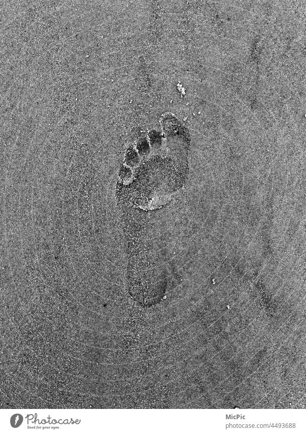 Fußabdruck im Sand Spuren im Sand hinterlassen spuren im sand Barfuß Barfußstrand spuren hinterlassen Strand Abdruck fußabdruck Schwarzweißfoto Einsamkeit