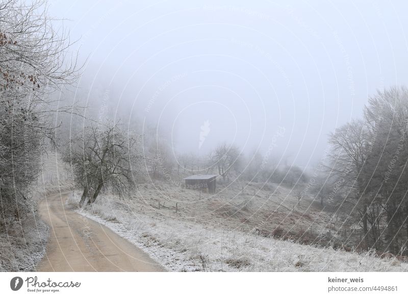 Der Weg führt in eine neblige Landschaft im eisigen Winter Nebel Bäume Frost kalt Raureif Winterlandschaft Baum Natur Winterzeit Außenaufnahme Winterstimmung