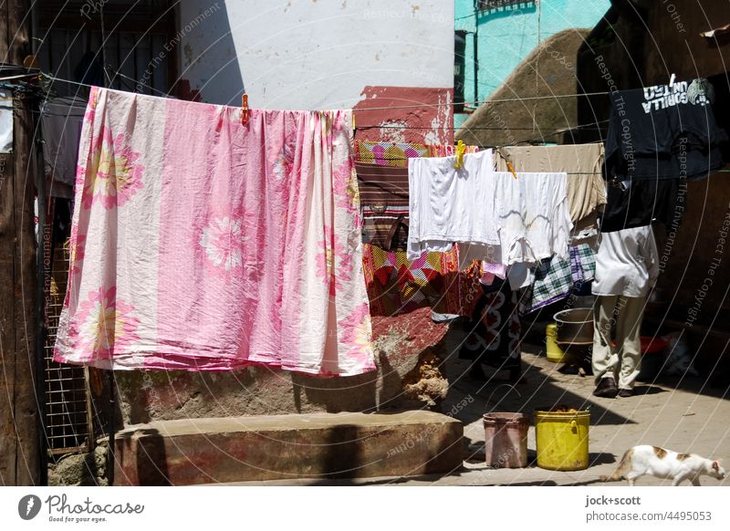 Waschtag in der Straße von Mombasa Wäsche Ordnungsliebe trocknen nebeneinander Wäscheleine Textilien Haushaltsführung Passant Katze Szene Alltagsfotografie