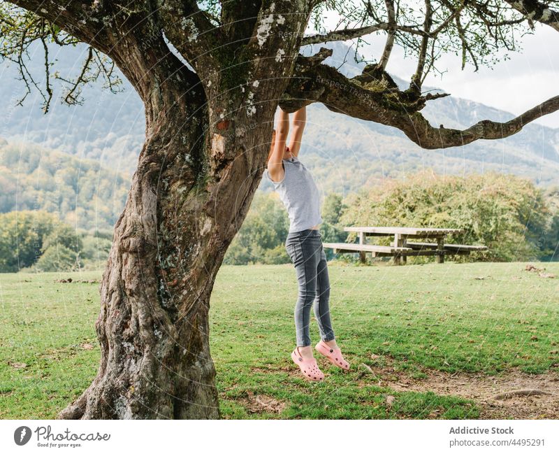 Unbekannter Junge hängt an einem Baumast Kind Ast Landschaft Kindheit aktiv Zeitvertreib gefährlich Freizeit ländlich Pflanze Sommer Flora Erholung hängen Tisch