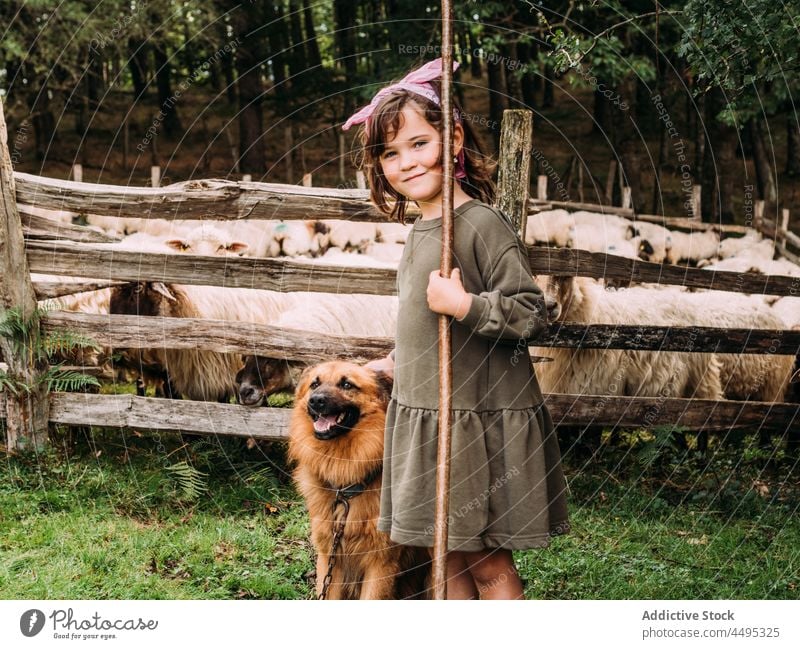 Entzückendes Kind streichelt Rassehund auf einer Schaffarm Streicheln baskischer schäferhund Bauernhof Tier Mädchen Landschaft Hund Haustier Säugetier niedlich