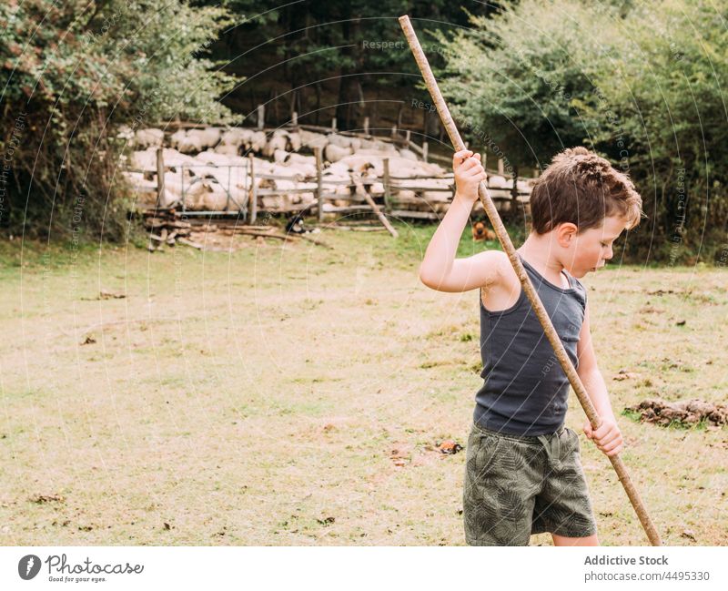 Entzückendes Kind spielt auf einem Bauernhof in der Nähe eines Geheges mit Schafen spielen kleben Landschaft Junge ländlich Kindheit Weide lokal lässig hölzern