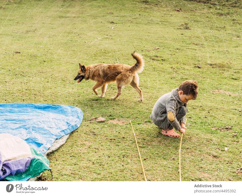 Niedliches Kind sitzt in der Nähe eines reinrassigen Hundes auf dem Campingplatz spielen Wiese Pfarrer Garafiano Zelt Junge neugierig Natur Haustier Tier