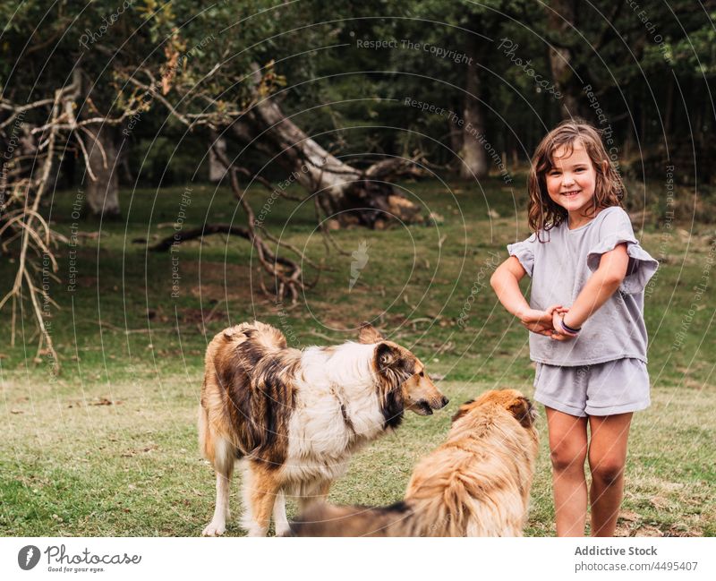 Fröhliches Kind spielt mit Hunden auf dem Lande spielen Rough Collie Wiese Reinrassig Tier Mädchen Freund gehorsam bezaubernd Haustier Park Eckzahn Zusammensein