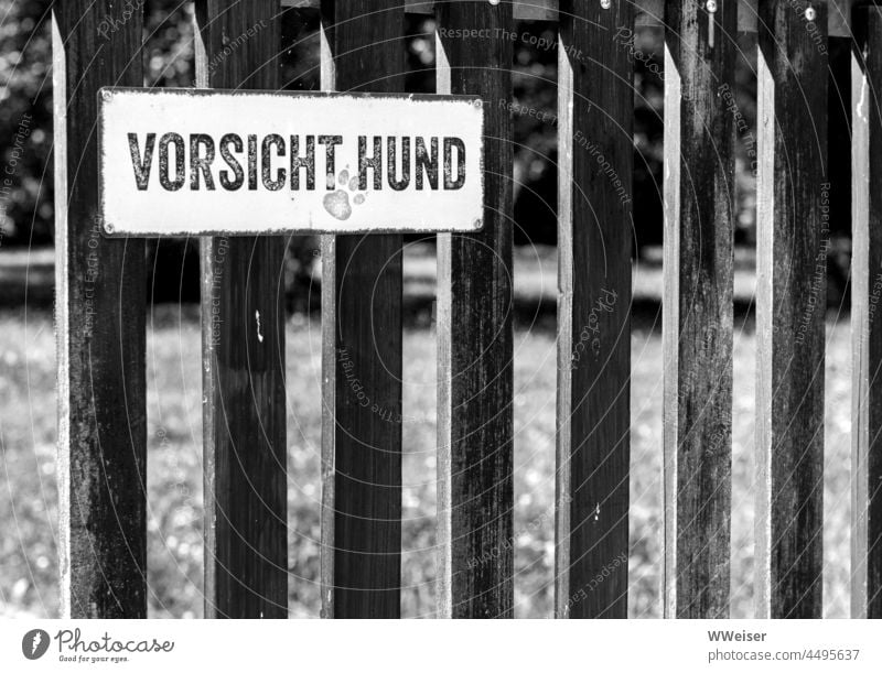 Auf dem Schild am Holzzaun steht die Warnung "Vorsicht Hund!" bissig Warnschild abschrecken Zaun Grenze Garten Grundstück Wiese wohnen Tier hüten aufpassen