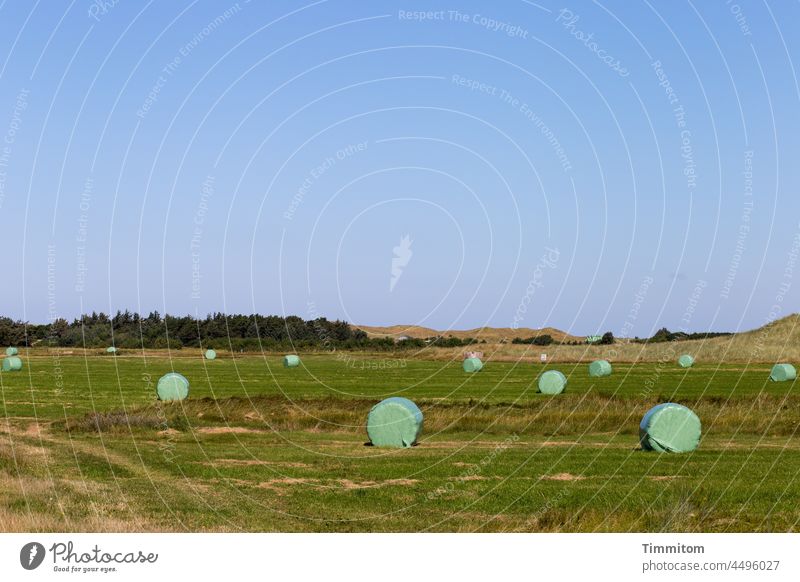 Feld mit Strohrollenpunkten Landwirtschaft Punkte grün Plastik verpackt Hintergrund Wald Dünen Horizont Dänemark Himmel Strohballen Ernte Menschenleer