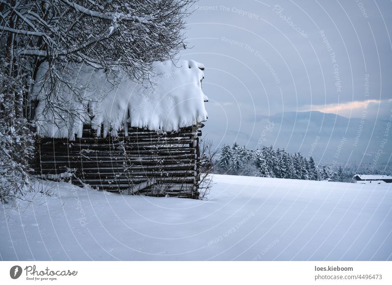 Idyllische Winterlandschaft mit tief verschneitem Stadel, Tirol, Österreich Schnee Scheune alpin Alpen Berge u. Gebirge Baum Weihnachten Hintergrund Haus Natur
