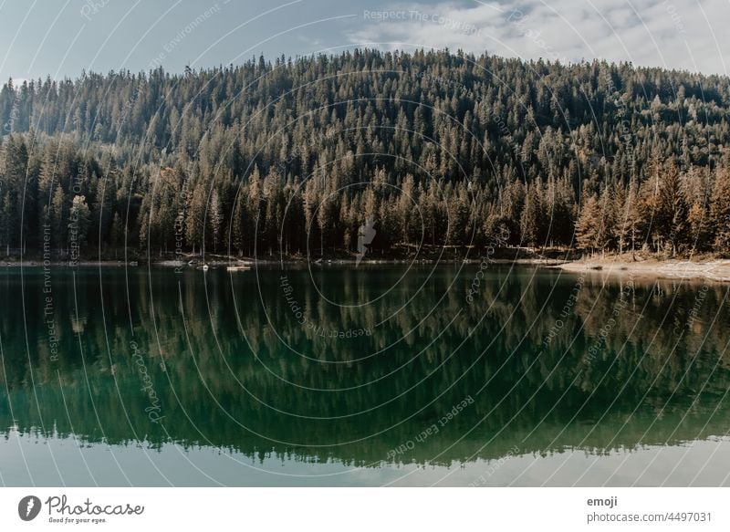 Caumasee, Graubünden, Schweiz Natur tourismus schönes wetter sommer blauer himmel bergsee Ausflug Ferien & Urlaub & Reisen grün caumasee graubünden wald bäume