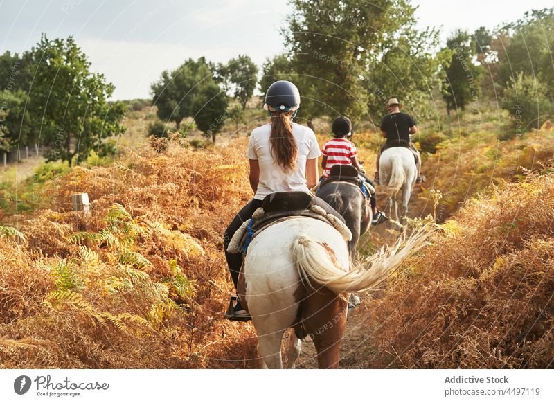 Anonyme Menschen reiten auf Pferden in der Natur in der Nähe von Bäumen Mitfahrgelegenheit Baum Wald Pflanze Gras Tier Reiterin Feld sitzen Fauna Begleiter