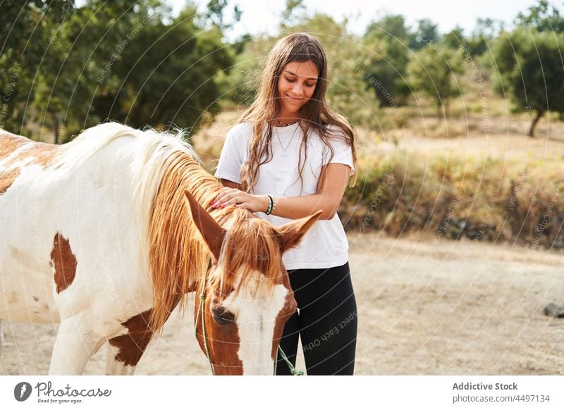 Dame streichelt Pferd auf Ranch in der Nähe der Barriere Frau Zaumzeug Streicheln Tier Hengst Bauernhof Pflanze jung loyal scheckig Säugetier Sattelkammer
