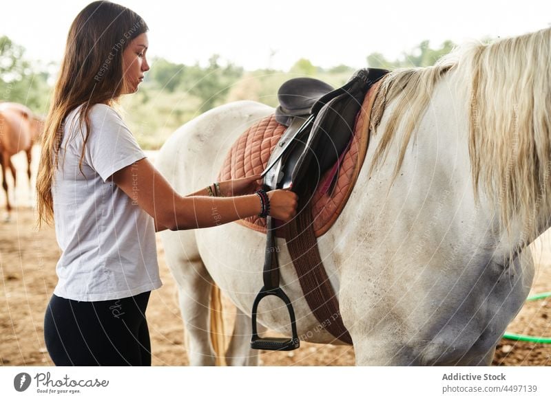 Frau befestigt Sattel auf Pferd in Ranch fixieren ernst Tier Bauernhof Hengst Reiterin jung Landschaft pferdeähnlich züchten Lifestyle Sand Boden Sattelkammer
