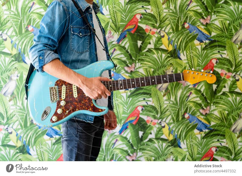 Anonymer Gitarrist vor lebhaften Gemälden an der Wand Mann Musiker Gitarre Gitarrenspieler Farbe Kunst ausführen grün Kunstwerk Pflanze Papagei Hobby farbenfroh
