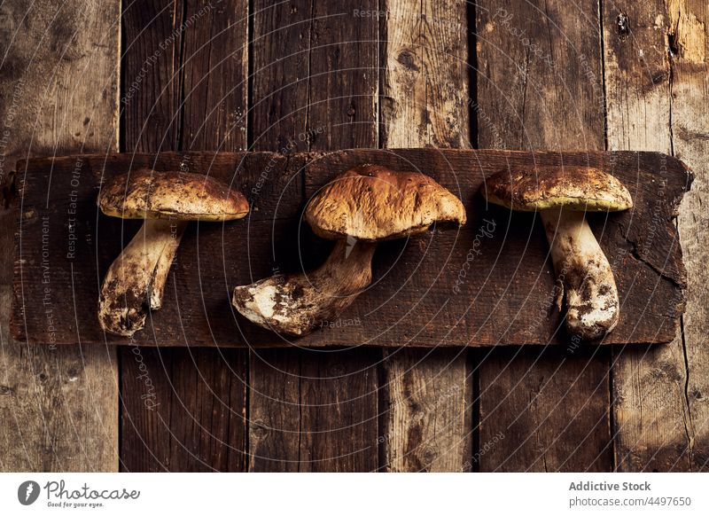 Steinpilz (Boletus edulis) auf einem rustikalen Holzschneidebrett Steinpilz edulis Pilz roh geschnitten Koch Bargeld organisch Lebensmittel kulinarisch