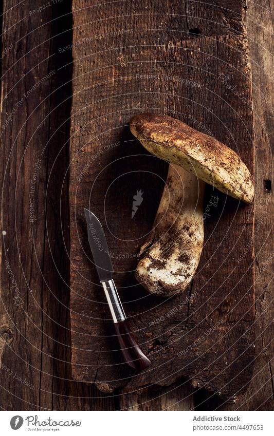 Steinpilz (Boletus edulis) auf einem rustikalen Holzschneidebrett Steinpilz edulis Pilz roh geschnitten Koch Bargeld organisch Lebensmittel kulinarisch Messer
