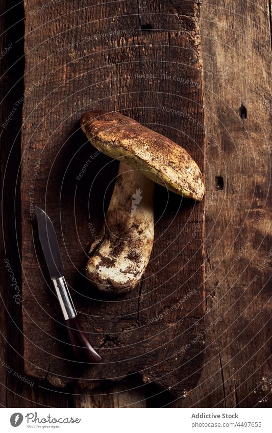 Steinpilz (Boletus edulis) auf einem rustikalen Holzschneidebrett Steinpilz edulis Pilz roh geschnitten Koch Bargeld organisch Lebensmittel kulinarisch Messer