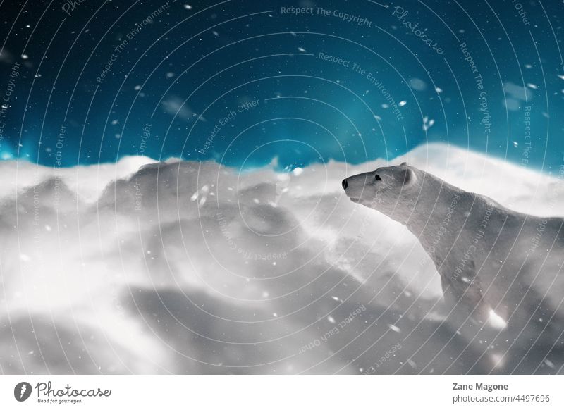 Eisbärfigur im Baumwollschnee stehend, Nachthimmel im Hintergrund, Stillleben Tierfigur Eisbär-Schnee magisch Eisbärennacht Eisbären-Weihnachten Eisbär-Kunst