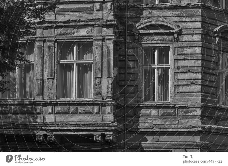 eine alte Fassade in Berlin Fenster Fensterkreuz Haus Menschenleer Außenaufnahme Gebäude Wand Mauer Architektur Verfall Hauptstadt Stadt Tag Bauwerk s/w bnw