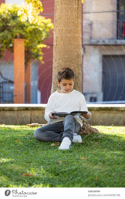 Kleines Kind liest ein Buch im Schatten eines Baumes Junge Windstille Kaukasier Kindheit konzentriert Tag Bildung Außenseite Gras grün Fröhlichkeit Glück Lehnen