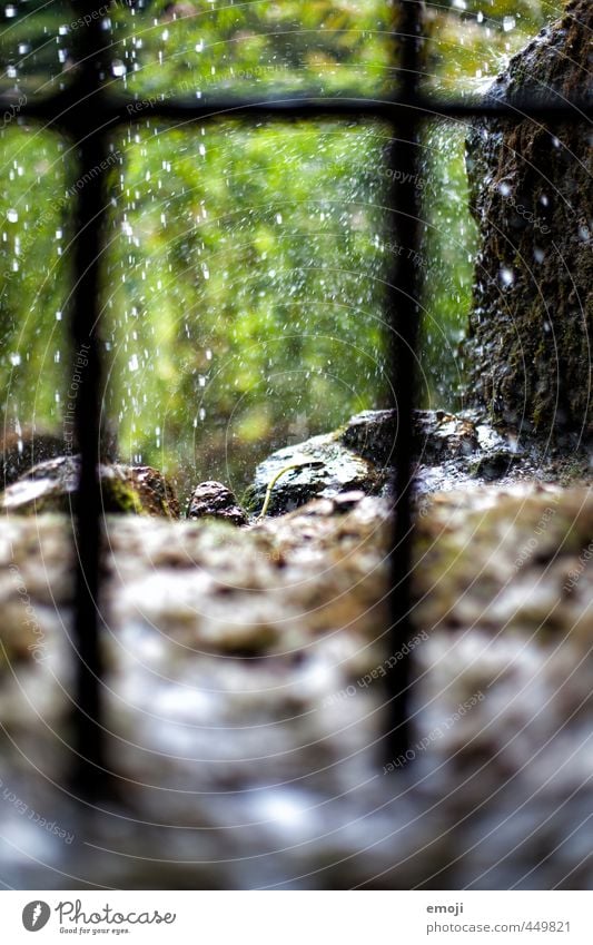 hinter dem Wasserfall Umwelt Natur Wassertropfen Regen Garten Park Urwald natürlich grün tropisch Farbfoto Außenaufnahme Nahaufnahme Menschenleer Tag