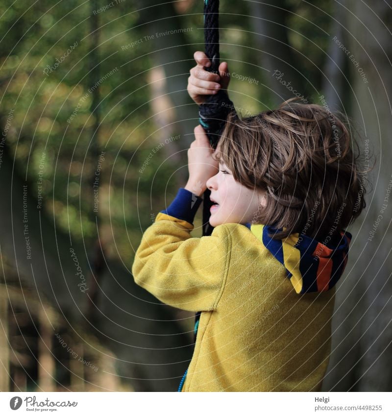 Porträt eines Kindes, das sich im Wald an einer Seilschaukel festhält und zur Seite schaut Mensch Schulkind Baum Schaukel spielen Freude Spaß Bewegung Herbst