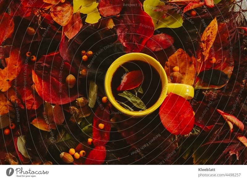 Herbstzeit - Teezeit - herbstliches Blätterflatlay in Rottönen mit gelber Tasse Herbstlaub Nüsse Vogelbeeren bunte Blätter gelbtöne rottöne braun Blatt
