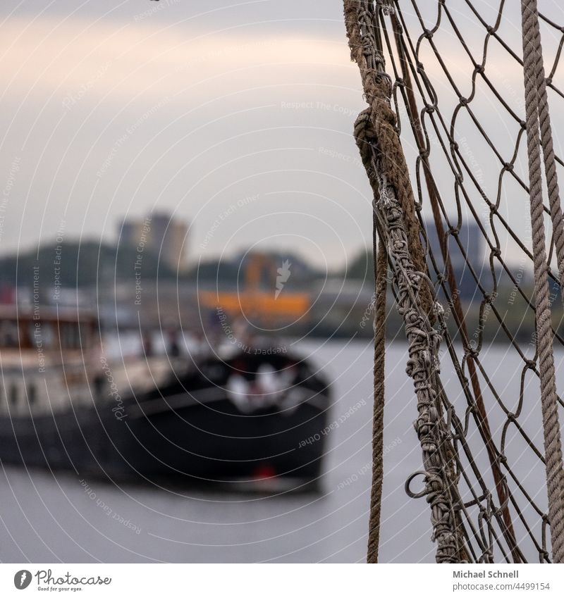 Fischernetz im Hafen von Amsterdam Netz Netzwerk Fischereiwirtschaft Fischereiindustrie fischereihandwerk Außenaufnahme Fischfang Menschenleer fangen Tierhandel