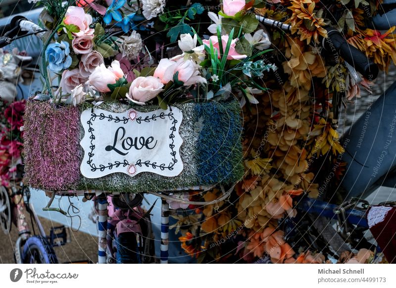 Amsterdam: Künstliche Blumenpracht an einem Fahrrad mit der Schrift "Love" künstliche Blume Blühend Liebe Gefühle Gefühle und Emotionen statement Romantik Herz