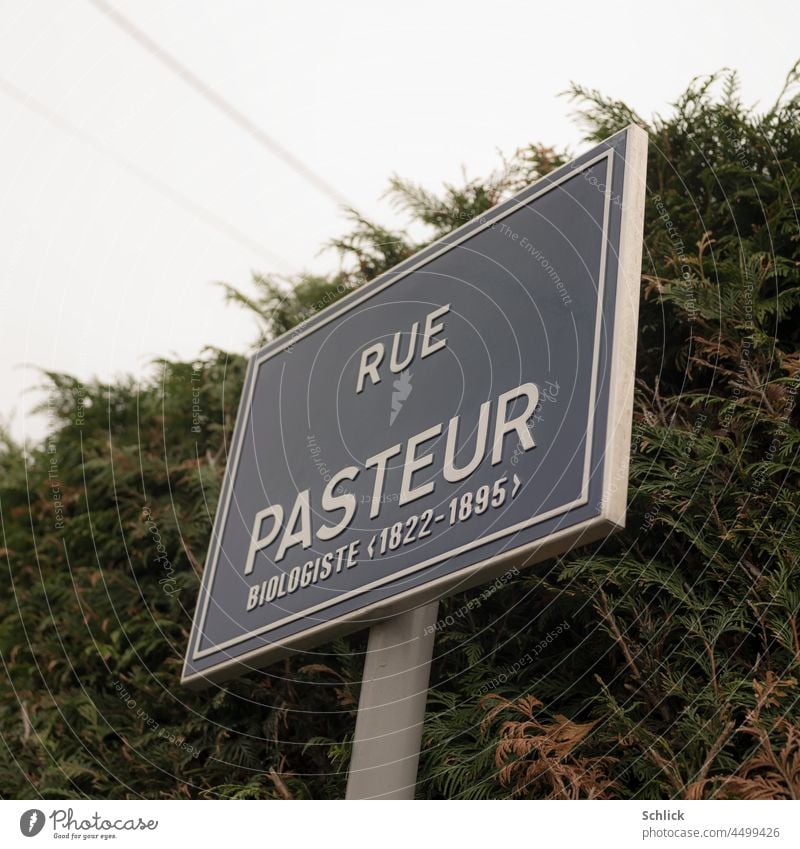 Straßenschild mit Text rue Pasteur Biologiste 1822-1895 Frankreich blau Froschperspektive Hecke Geburtsjahr Sterbejahr neu neuwertig Biologe französisch Schild