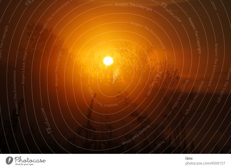UT Teufelsmoor l Sonnenaufgang Außenaufnahme Morgendämmerung Sonnenlicht Worpswede Gegenlicht Farbfoto Menschenleer Landschaft Textfreiraum unten