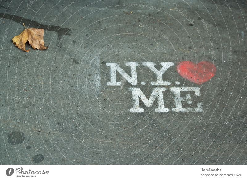 Behauptung Herbst New York City Zeichen Schriftzeichen Graffiti grau rot weiß selbstbewußt Bürgersteig Liebe These Herz sprühen Blatt Herbstlaub Farbfoto